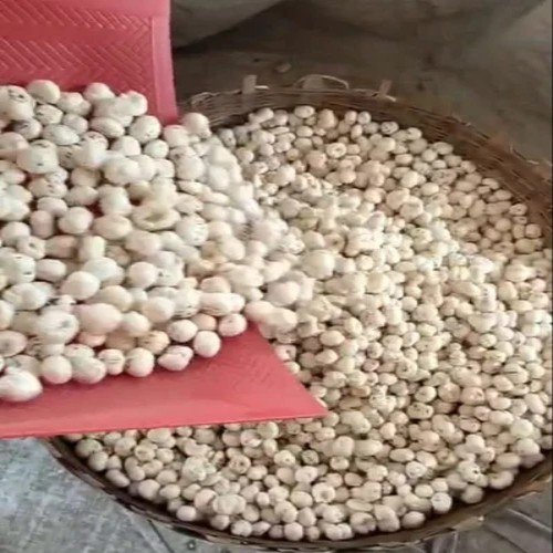 Signature by RINNEE’ Product Gallery — Natural & Eco-Friendly Range